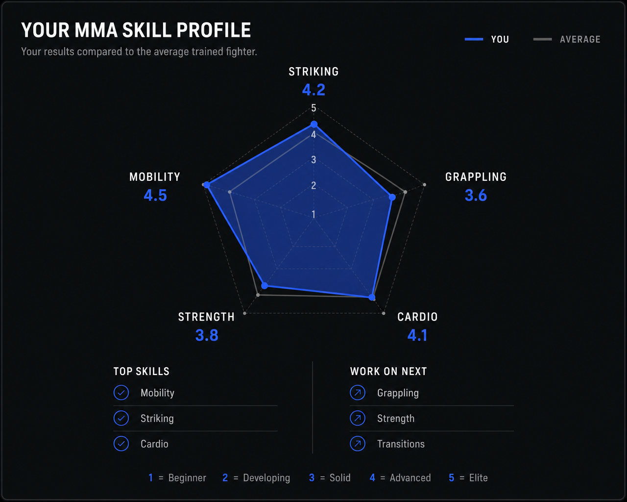 Example of a Fightform MMA skill profile result